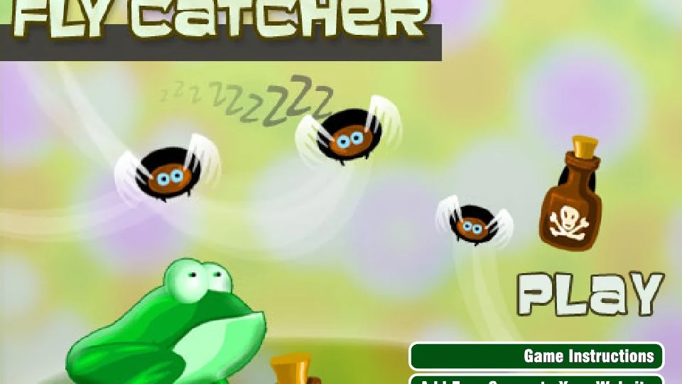 Fly Catcher